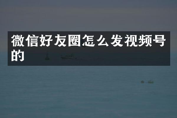 微信好友圈怎么发视频号的