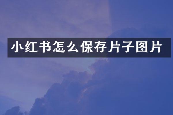 小红书怎么保存片子图片