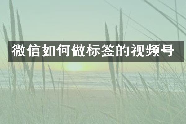 微信如何做标签的视频号