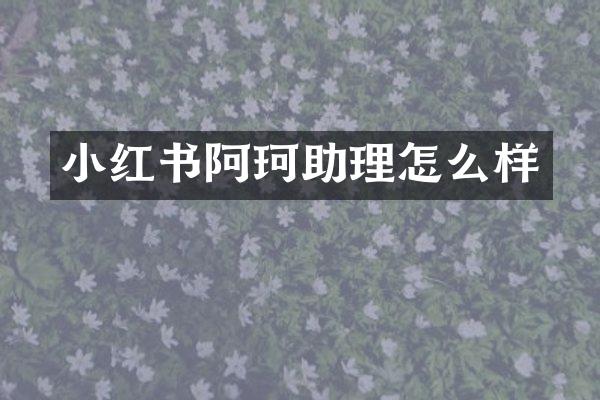 小红书阿珂助理怎么样