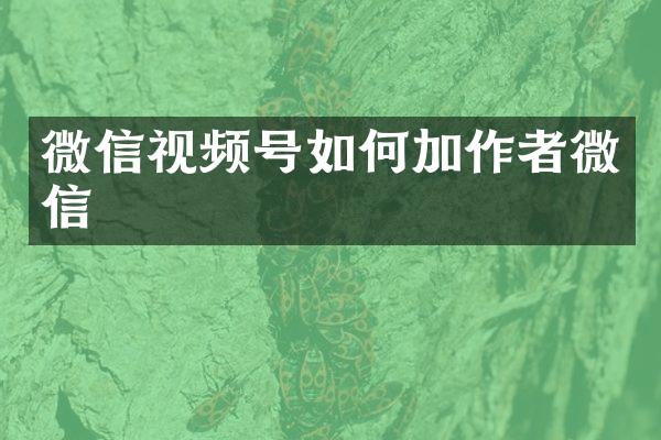 微信视频号如何加作者微信