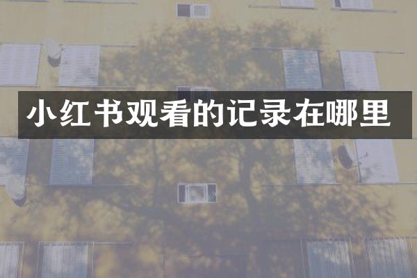 小红书观看的记录在哪里