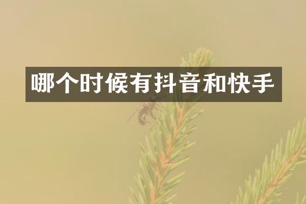 哪个时候有抖音和快手