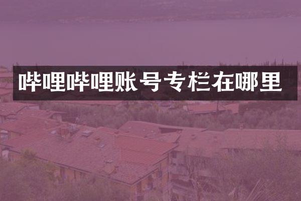 哔哩哔哩账号专栏在哪里