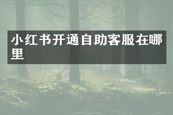 小红书开通自助客服在哪里