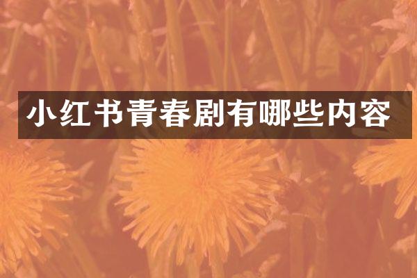 小红书青春剧有哪些内容