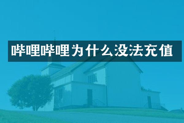 哔哩哔哩为什么没法充值