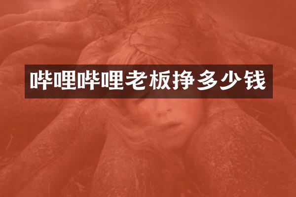 哔哩哔哩老板挣多少钱