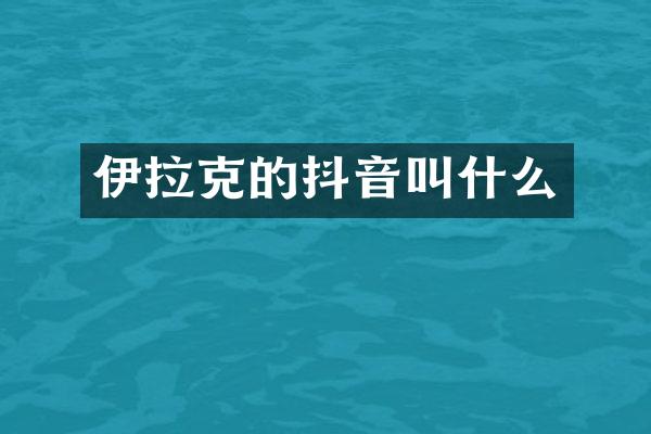 伊拉克的抖音叫什么