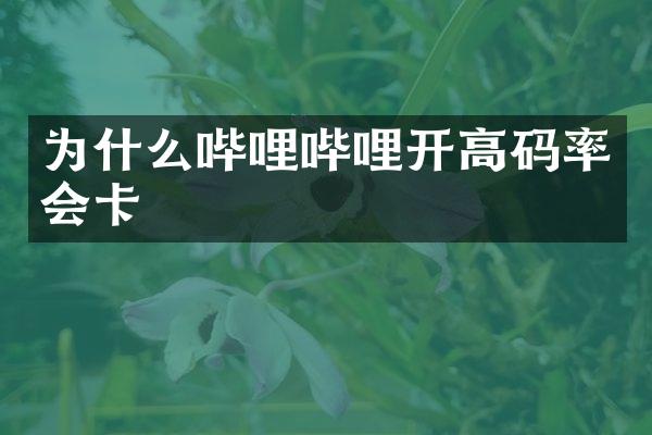 为什么哔哩哔哩开高码率会卡