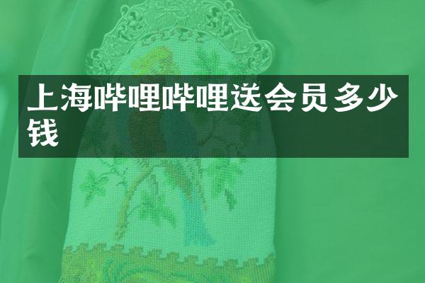 上海哔哩哔哩送会员多少钱