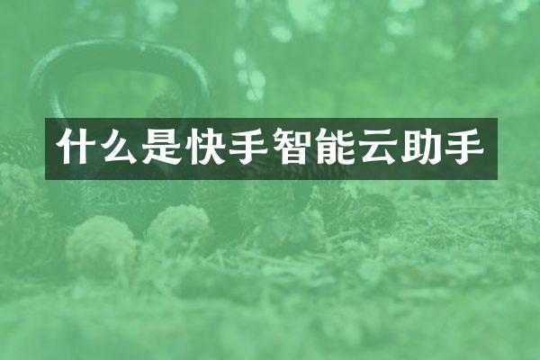 什么是快手智能云助手