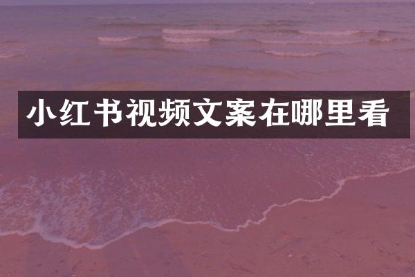 小红书视频文案在哪里看