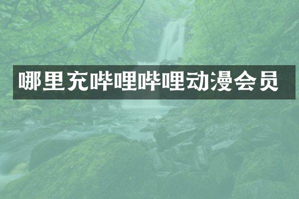 哪里充哔哩哔哩动漫会员