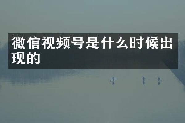 微信视频号是什么时候出现的