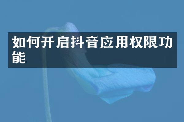 如何开启抖音应用权限功能