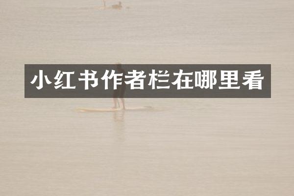 小红书作者栏在哪里看