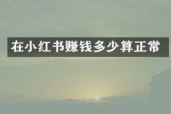 在小红书赚钱多少算正常