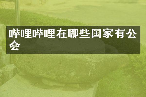 哔哩哔哩在哪些国家有公会