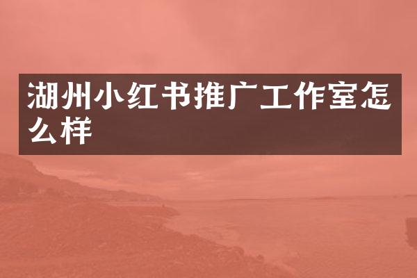 湖州小红书推广工作室怎么样