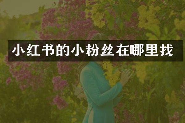 小红书的小粉丝在哪里找
