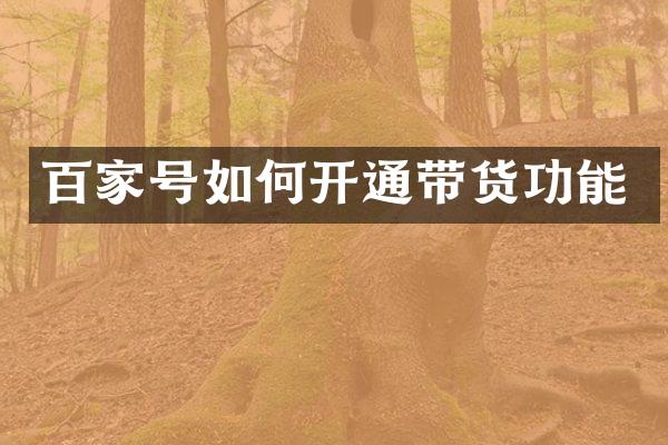 百家号如何开通带货功能