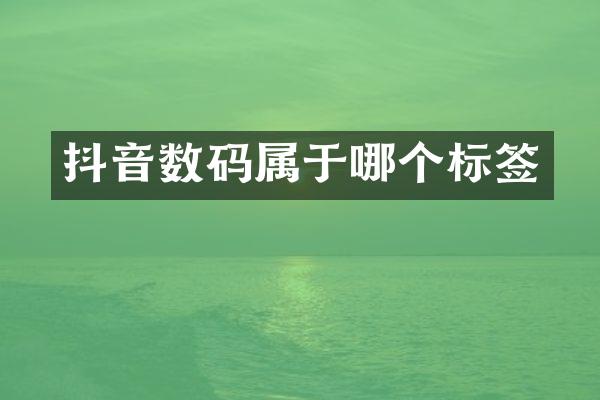 抖音数码属于哪个标签