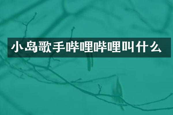 小岛歌手哔哩哔哩叫什么