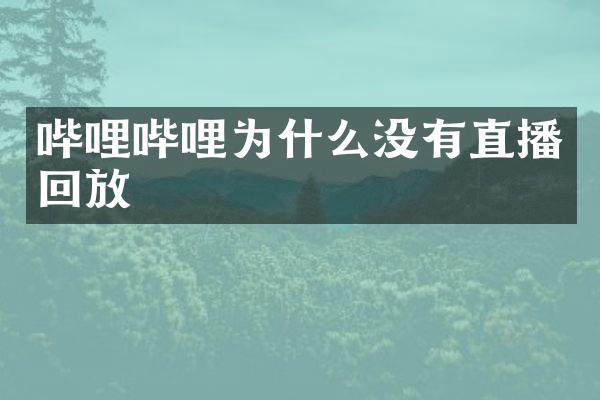 哔哩哔哩为什么没有直播回放