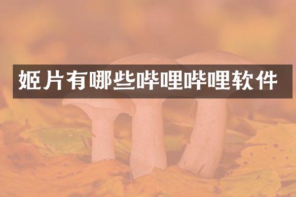 姬片有哪些哔哩哔哩软件