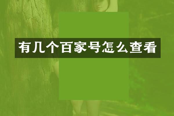 有几个百家号怎么查看