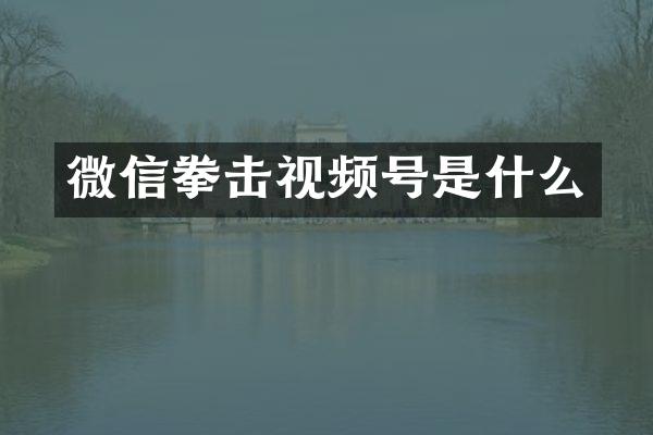 微信拳击视频号是什么