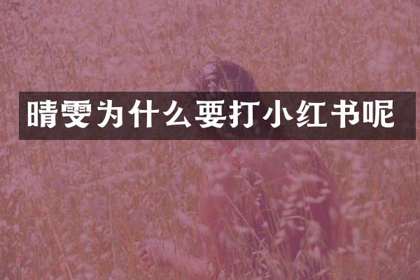 晴雯为什么要打小红书呢