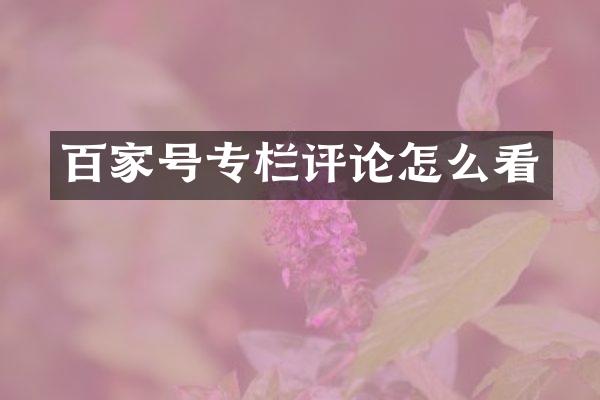 百家号专栏评论怎么看