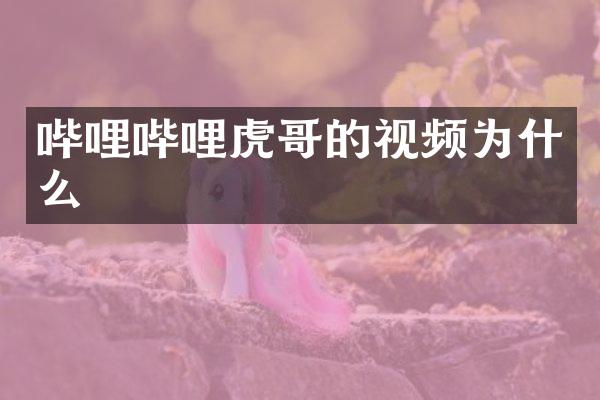 哔哩哔哩虎哥的视频为什么
