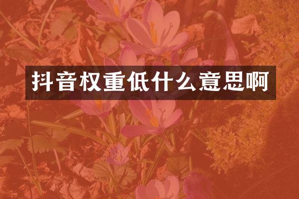 抖音权重低什么意思啊