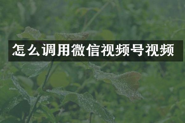 怎么调用微信视频号视频