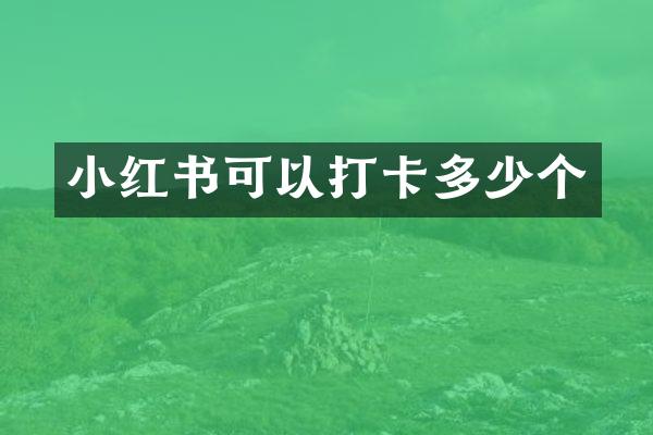 小红书可以打卡多少个