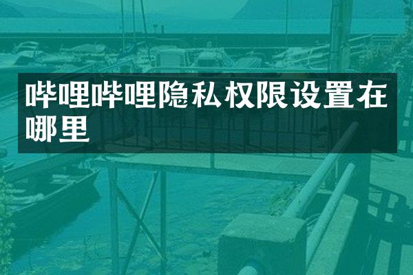 哔哩哔哩隐私权限设置在哪里