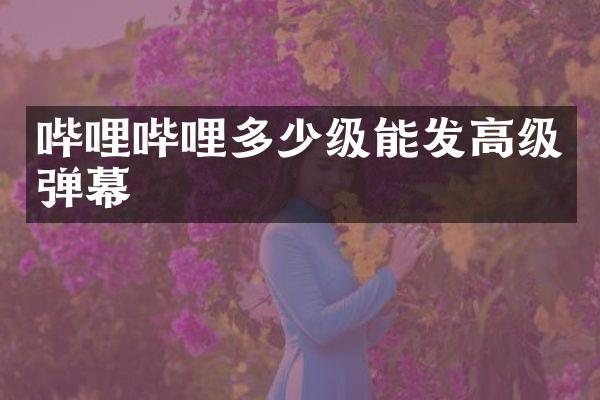 哔哩哔哩多少级能发高级弹幕