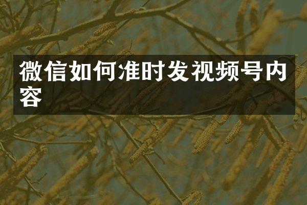 微信如何准时发视频号内容