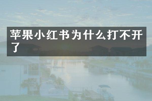 苹果小红书为什么打不开了