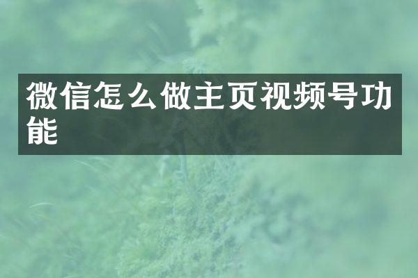 微信怎么做主页视频号功能