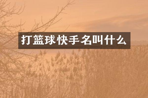 打篮球快手名叫什么
