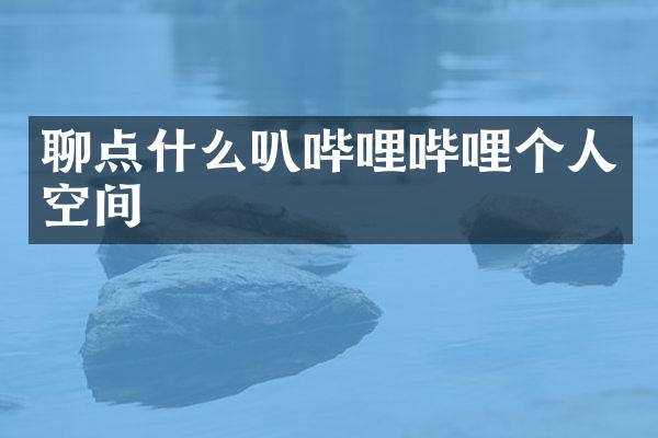 聊点什么叭哔哩哔哩个人空间