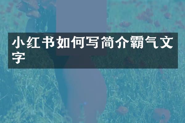 小红书如何写简介霸气文字