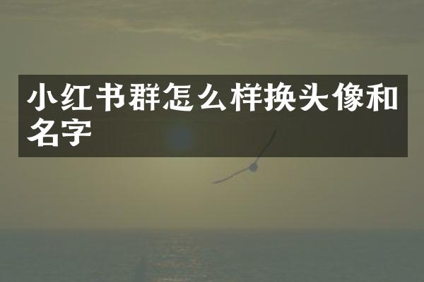 小红书群怎么样换头像和名字