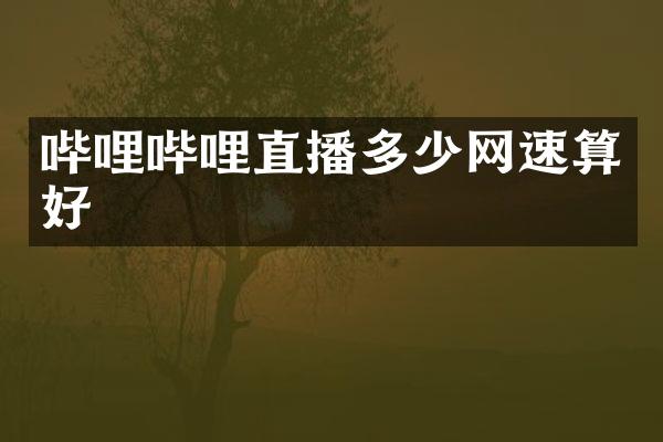 哔哩哔哩直播多少网速算好