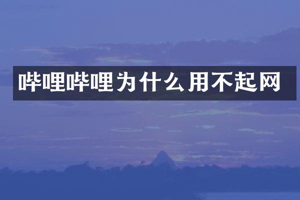 哔哩哔哩为什么用不起网