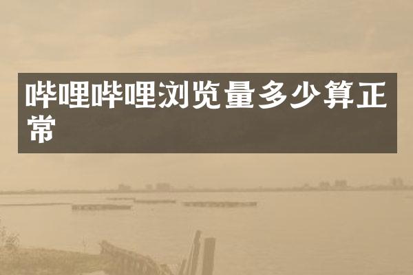 哔哩哔哩浏览量多少算正常